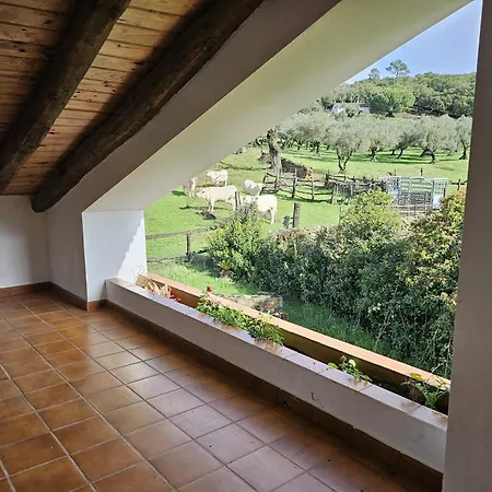 Casa Vacas, Holiday home